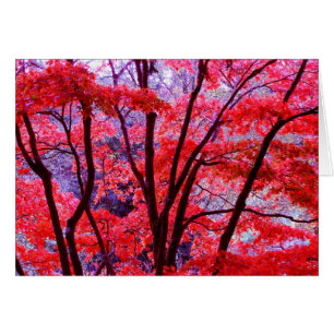 Rote Karte Herbst