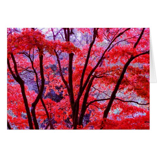 Rote Karte Herbst (Vorderseite (Horizontal))