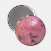 Rote Kartoffel Magnet (Vorderseite/Rückseite)