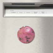 Rote Kartoffel Magnet (In Situ (Geschirrspüler))