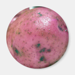 Rote Kartoffel Magnet