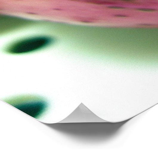 Rote Kartoffel Poster (Ecke)