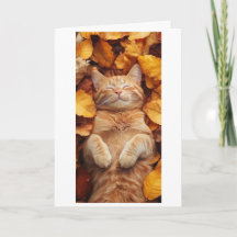 rote Katze genießt einen schläfrigen Moment