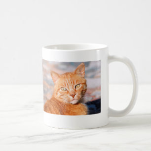 Rote Katze Kaffeetasse