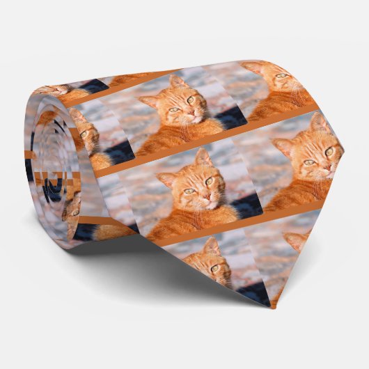 Rote Katze Krawatte (Gerollt)