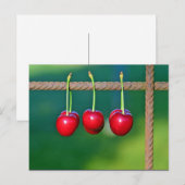 Rote Kirschen Früchte Foto Postkarte (Vorne/Hinten)