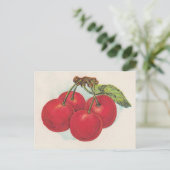 Rote Kirschen Postkarte (Stehend Vorderseite)
