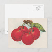 Rote Kirschen Postkarte (Vorne/Hinten)