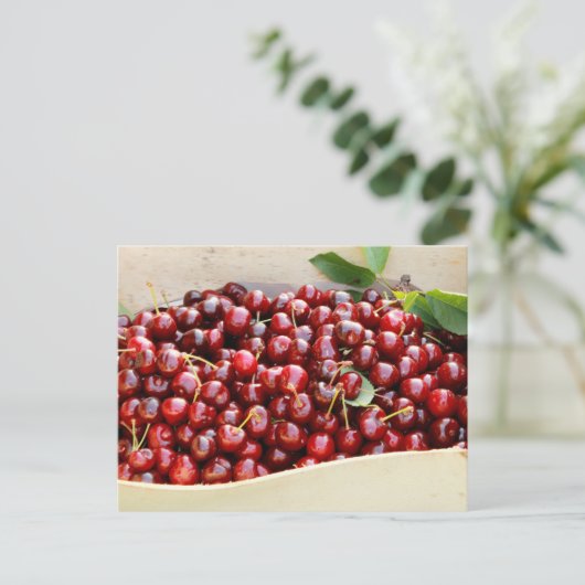 Rote Kirschen Postkarte (Stehend Vorderseite)