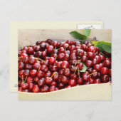 Rote Kirschen Postkarte (Vorne/Hinten)