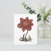 Rote Klatschmohn-Anemonenblüte  Postkarte (Stehend Vorderseite)
