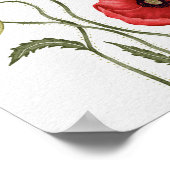Rote Klatschmohn-Blumen Botanischer Aquarell Poster (Ecke)