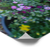 Rote Klatschmohnblumen Frühlingsblume Blumen Garte Poster (Ecke)