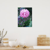 Rote Klatschmohnblumen Frühlingsblume Blumen Garte Poster (Küche)