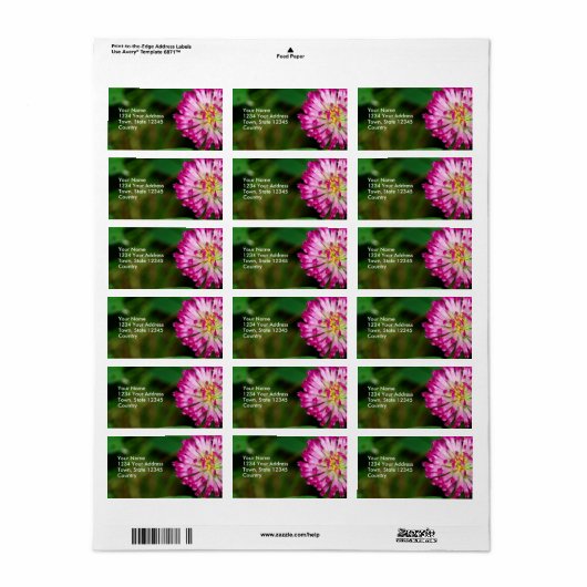 Rote Klee Adressaufkleber (Vorne)