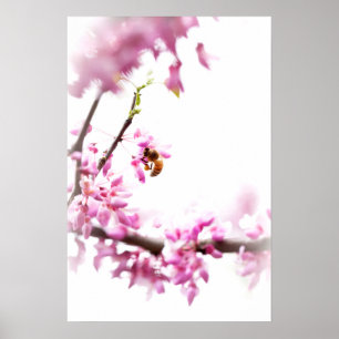 Rote Knospe & Honigbiene im Frühling Poster
