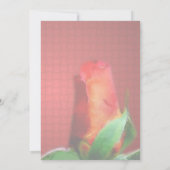 Rote Knospen-Blumen-Braut-Shower Einladung (Rückseite)