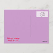 rote Knospen Postkarte (Rückseite)
