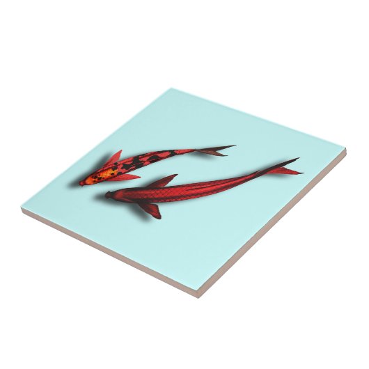 Rote Koi Fisch-Keramik-Fliese Fliese (Seite)