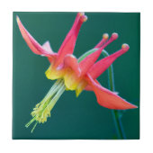 Rote Kolumne Fliese (Vorderseite)