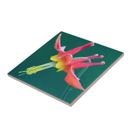 Rote Kolumne Fliese (Seite)