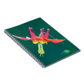 Rote Kolumne Notizblock (Rechte Seite)