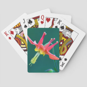 Rote Kolumne Spielkarten