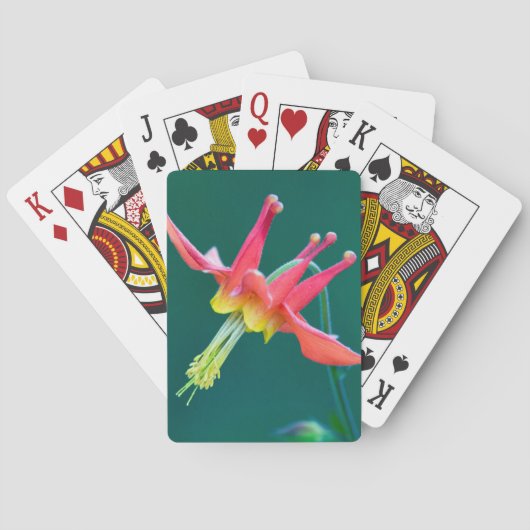 Rote Kolumne Spielkarten (Rückseite)