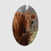 rote Kuh mit ihrem Kalb Ornament (Vorderseite)