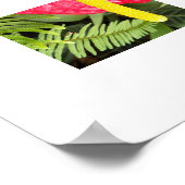 Rote Laceleaf Blume Floralfotografie Poster (Ecke)