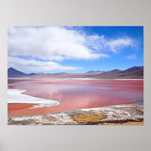 Rote Lagune, Laguna Colorada in Bolivien Poster (Vorne)