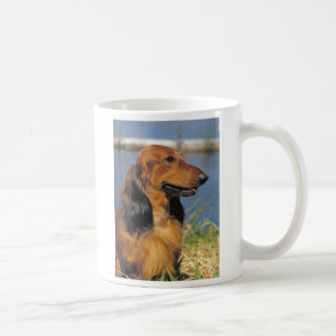 rote langhaarige Dackel-Tasse Kaffeetasse