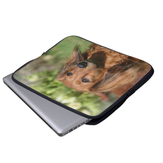 Rote langhaarige MiniaturDackel Laptopschutzhülle (Vorne Knopf)