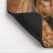 Rote langhaarige MiniaturDackel Mousepad (Ecke)