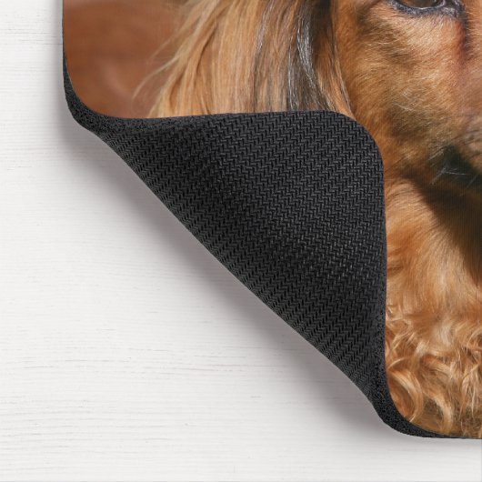 Rote langhaarige MiniaturDackel Mousepad (Ecke)