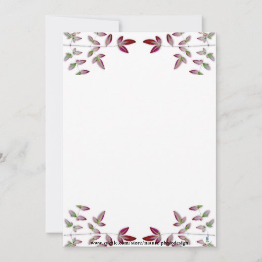 ROTE LEAF BRANCH FOTO 60. JAHRESEINLADUNG EINLADUNG (Rückseite)