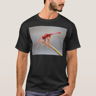 Rote Libelle 5 T-Shirt