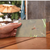 Rote Libelle auf einem Strohhalm Postkarte