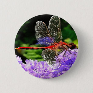 Rote Libelle auf Violet Purple Blumen Button