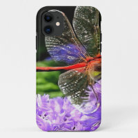 Rote Libelle auf Violet Purple Blumen