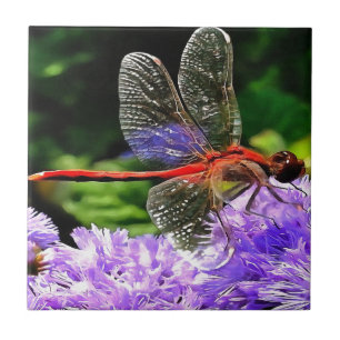 Rote Libelle auf Violet Purple Blumen Fliese