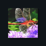 Rote Libelle auf Violet Purple Blumen Leinwanddruck<br><div class="desc">Rote Libelle auf Violet Purple Flowers ist ein künstlerisches Insekt, das die Libelle vor einem bunten lila Hintergrund ruht. Ein Geschenk mit einem geflügelten Insektenthema perfekt für Skimmer Liebhaber, Entomologen, Libellenliebhaber, Insektenliebhaber und Hinterhofbug Jäger über DIE ART © ‎ 13 ‎ Mai ‎ 2016 Tracey Harrington Simpson Original handbemalt in...</div>