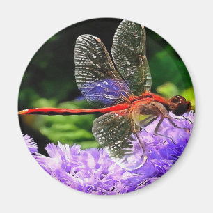Rote Libelle auf Violet Purple Blumen Magnet