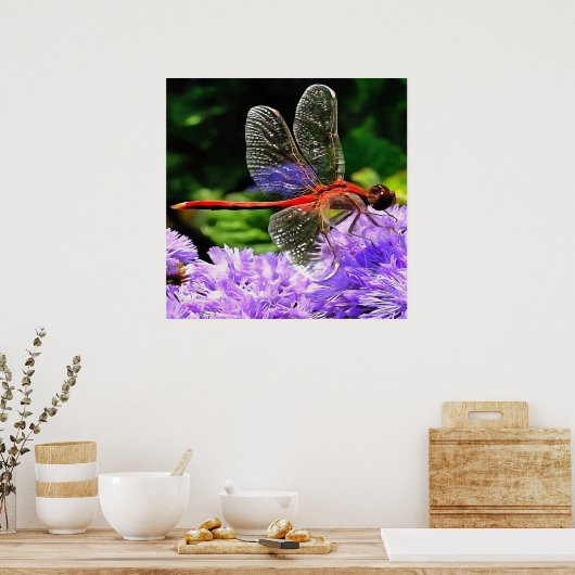 Rote Libelle auf Violet Purple Blumen Poster (Küche)
