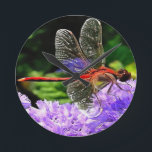 Rote Libelle auf Violet Purple Blumen Runde Wanduhr<br><div class="desc">Rote Libelle auf Violet Purple Flowers ist ein künstlerisches Insekt, das die Libelle vor einem bunten lila Hintergrund ruht. Ein Geschenk mit einem geflügelten Insektenthema perfekt für Skimmer Liebhaber, Entomologen, Libellenliebhaber, Insektenliebhaber und Hinterhofbug Jäger über DIE ART © ‎ 13 ‎ Mai ‎ 2016 Tracey Harrington Simpson Original handbemalt in...</div>