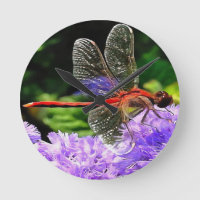 Rote Libelle auf Violet Purple Blumen