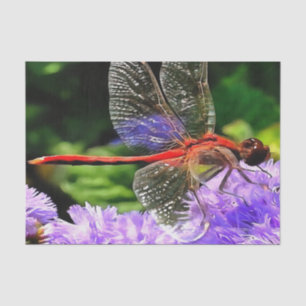 Rote Libelle auf Violet Purple Blumen Seidenpapier