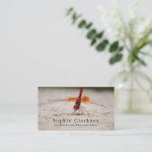 Rote Libelle, Fotograf, Fotografie Visitenkarte (Stehend Vorderseite)