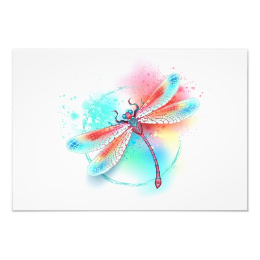 Rote Libelle im Aquarellhintergrund Fotodruck (Vorne)