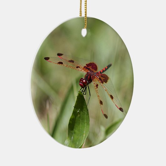 Rote Libelle Keramik Ornament (Rechts)